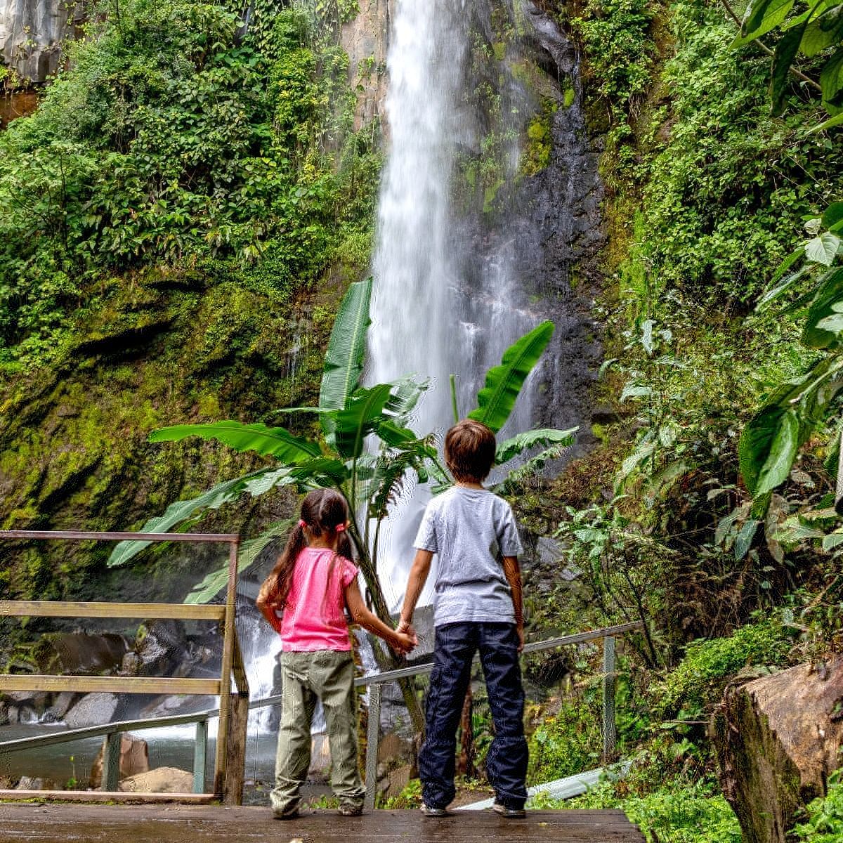 Waterfall Tour