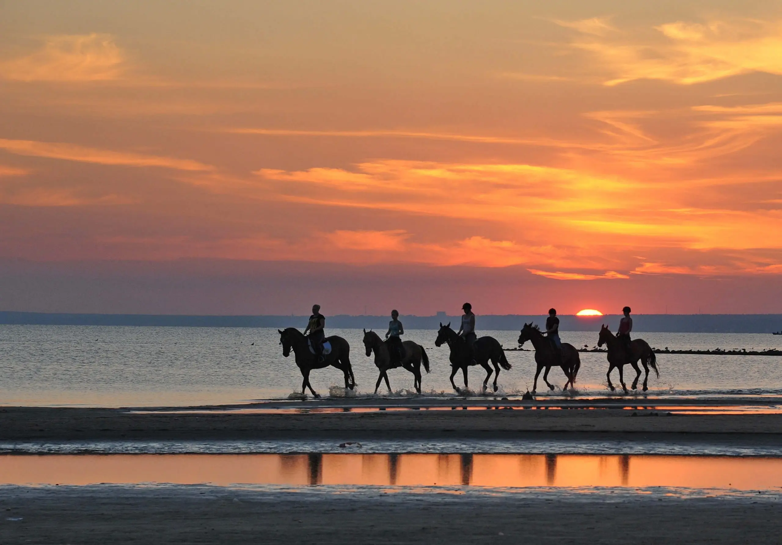 Horseback Riding Beach
