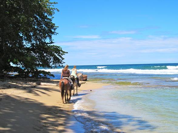 Horseback Riding Adventure