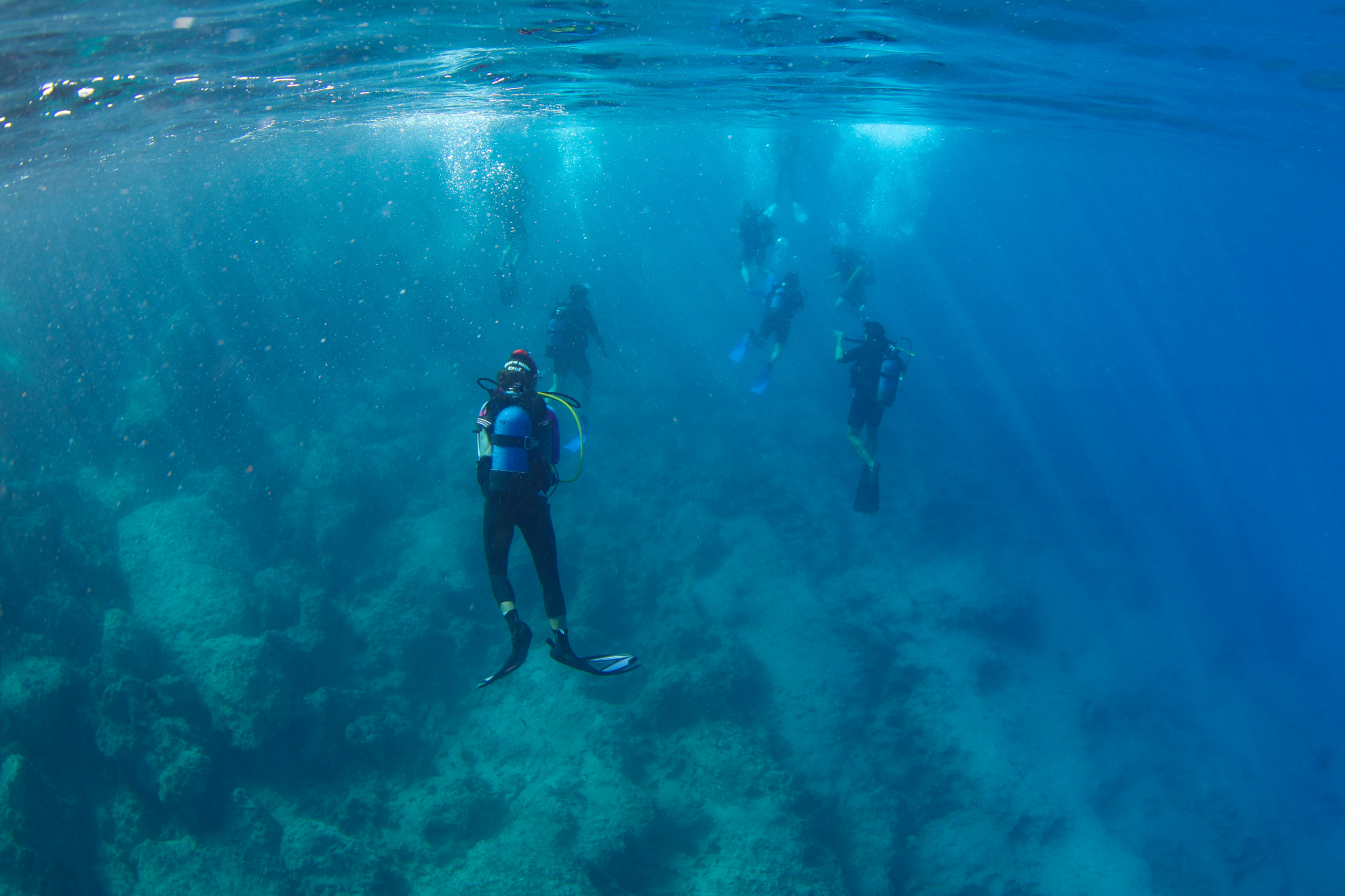 Ocean Adventure